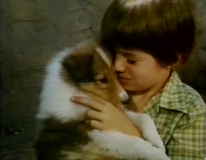 Michael James Wixteds Lassie The Miracle Movie Gallery